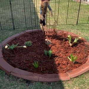 Meet your Posher, Wendy